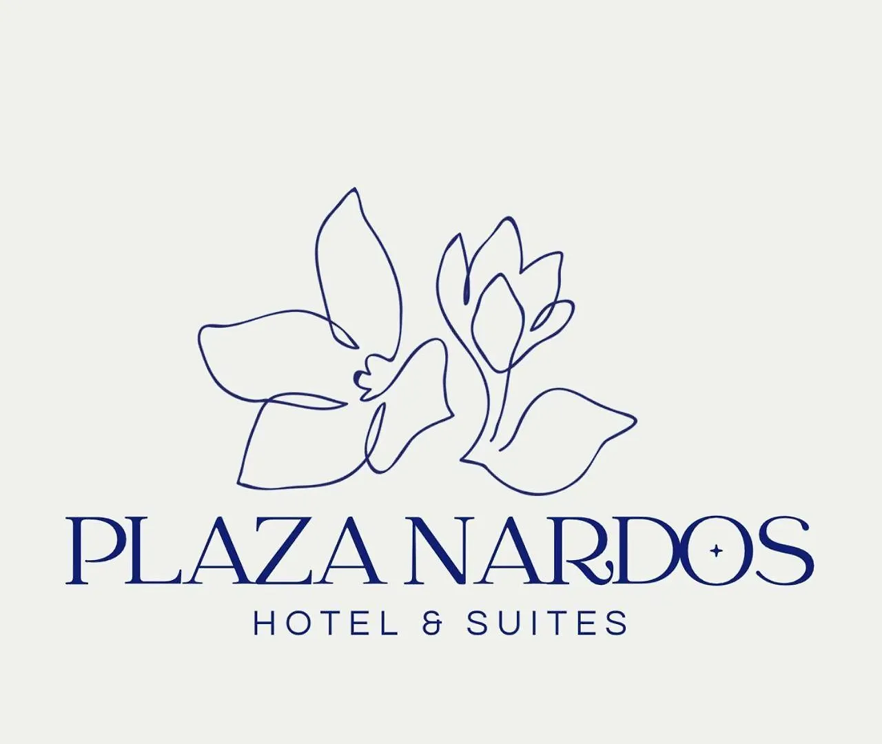 Hotel Plaza Nardos Playa del Carmen